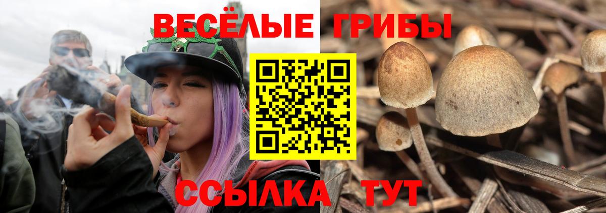 Чайковский  Галлюциногенные грибы MAGIC MUSHROOMS  купить наркоту  Вход с VPN 